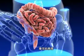 蒙脱石散治疗（新冠）腹泻的原理，3D演示