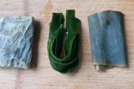 爱吃海带的留意了，这种海带不能吃，我也是今天才知道视频封面