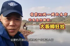 收费20元一天的水库，跟我说大板鲫狂拉，铁杆钓友的话能信吗视频封面