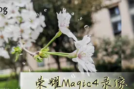荣耀Magic4手机录像体验视频封面
