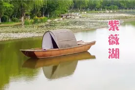 在渭河西安段，有一个紫薇湖，是西安市民不可多得的又一露营地。视频封面