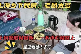 上海租房：15平出租屋老鼠太多，屋子小连老鼠也来抢地方住视频封面