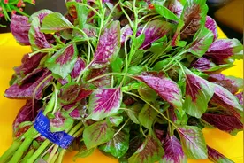 炒苋菜时，焯水和直接炒是大错！教你一招，鲜嫩不涩，营养不流失