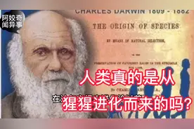 人类是从“猩猩”进化而来的吗。你们是怎么认为的呢，一起来听听视频封面