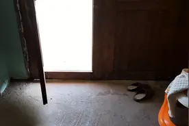 我炒了两个公鸡下的蛋。