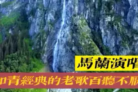 知青经典老歌《沈阳，我的故乡》马兰演唱超过原唱，让人感动泪目视频封面
