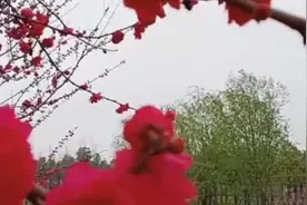 走过春夏秋，还剩一冬走; 转眼又一年，留下几多愁！视频封面