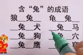含“兔”的成语，快来挑战一下吧！提高思维能力，积累成语