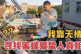 蜜蜂爱蛰人的原因，养蜂人亲自试验，答案找到了视频封面