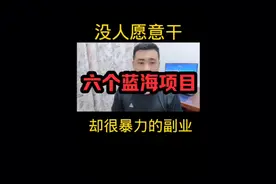 六个不需要专业知识副业！！！