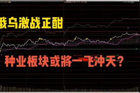 种业板块迎来春天视频封面
