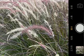 gamagama 露营地  夏日甜风
