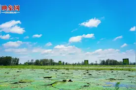 大别山下问初心丨淮滨县期思镇：党建链串起产业链 让群众在致富路上不断链图片