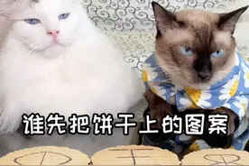 看到最后的课代表来解谜了！另外你们觉得Double吃到粮了嘛？视频封面