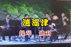 逍遥津，操琴，姚利视频封面