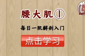 【每日一肌】①腰大肌精细解剖，它能引起多少症状以及问题分析！
