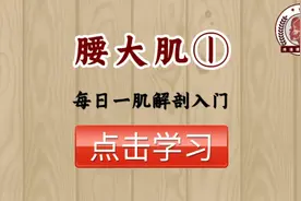 【每日一肌】①腰大肌精细解剖，它能引起多少症状以及问题分析！视频封面