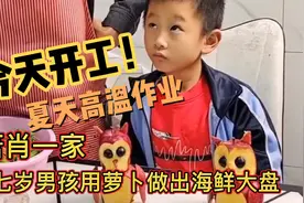 七岁男孩心灵手巧：用瓜子皮摆出各种动物，蔬菜摆出海鲜大咖视频封面