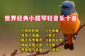 世界经典小提琴轻音乐十首 浪漫舒缓柔美 静静聆听 减压 治愈心灵视频封面