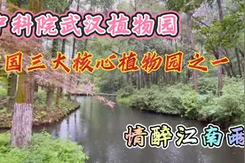 中科院武汉植物园，中国三大核心科研植物园之一，自由行必打卡视频封面