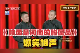爆笑相声-《陕西是河南的附属品》，苗阜-王声 精选集视频封面
