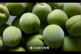 梅子作用与功效视频封面