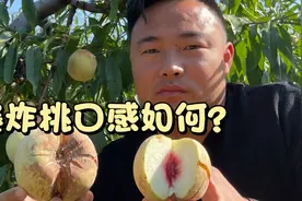 最近很火的爆炸桃，口感究竟如何？丑陋的外表下藏着洁白的果肉视频封面