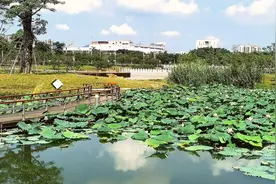 今天下午珠海斗门区防空警报响了，什么情况？