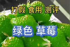测评 绿色草莓  买来后结果傻眼了 这是什么品种？视频封面