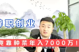 辞职创业，竟靠种菜年入7000万！国内可以复制成功吗？视频封面