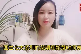 新手兰花习性表，来看看国兰七大类的花期芽期，对的时间做对的事视频封面