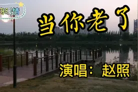 重阳节听这首《当你老了》颇有感触，潸然泪下，愿老人们幸福快乐视频封面