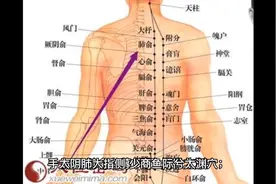 针灸穴位歌决视频封面
