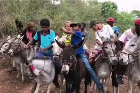 巴西小孩坐骑小毛驴，当地人交通工具保持传统，山羊太可怜了视频封面