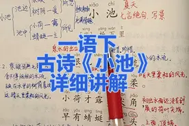 一年级语文下册：12《古诗二首》-《小池》详细讲解，一听就懂视频封面