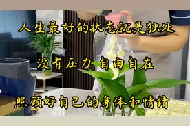 一个人最好的状态就是独处，放空自己，享受孤独，安静又自在视频封面