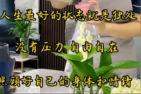 一个人最好的状态就是独处，放空自己，享受孤独，安静又自在视频封面
