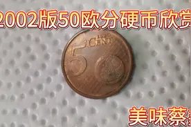 2002版50欧分收藏欣赏视频封面