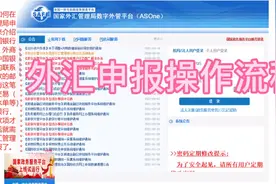 外汇申报操作流程，新手宝宝收藏哦！