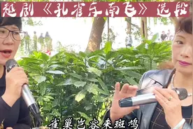 深秋赏西湖，舒心听越剧《孔雀东南飞》初闻不识曲再闻已是曲中人视频封面