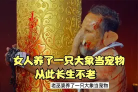 大象当宠物，可以长生不老，使人感到震惊视频封面