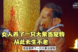 大象当宠物，可以长生不老，使人感到震惊视频封面