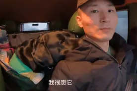 每位养狗狗的人都应该知道的10句话，请忍住泪水看完吧，它很爱你视频封面