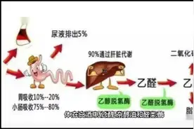 为何好酒喝了不上头视频封面