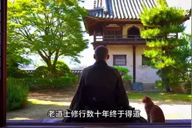 什么是“大道至简”？悟透了，你的人生将一飞冲天视频封面