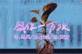 安静用磁性嗓音演唱《想你一万次》，歌声更加深情伤感，百听不厌