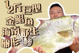 12斤巨型金鲳鱼 海南野生卵形鲳鲹