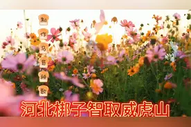 户外自编而成秧歌舞河北梆子智取威虎山《只盼深山出太阳》视频封面