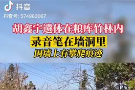 录音笔里面藏着案件的证据，还是制造谎言的工具🛠️@桃源仙子yy视频封面