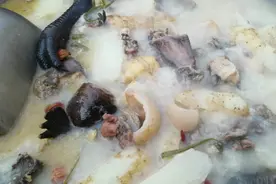 养了一年的老母鸡，用天麻和猪皮一起炖两小时，汤鲜肉滑，太补了视频封面